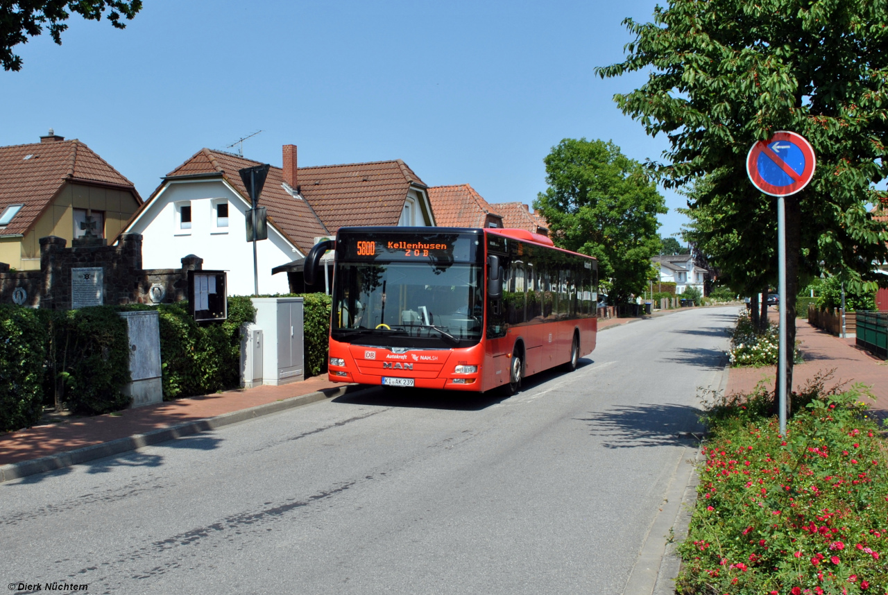 15003 (KI AK 239) Kellenhusen, Alte Schmiede