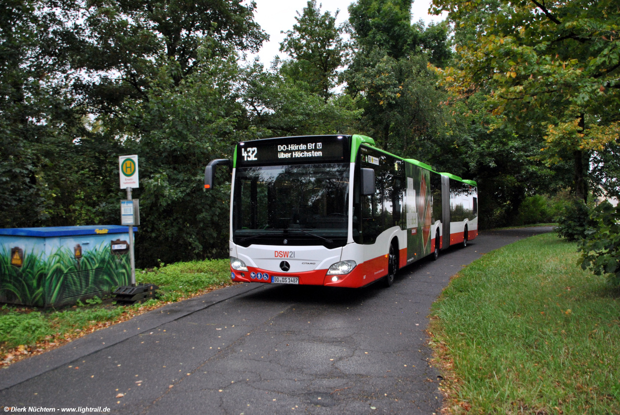 1487 (DO DS 1487) · Singschwanenweg