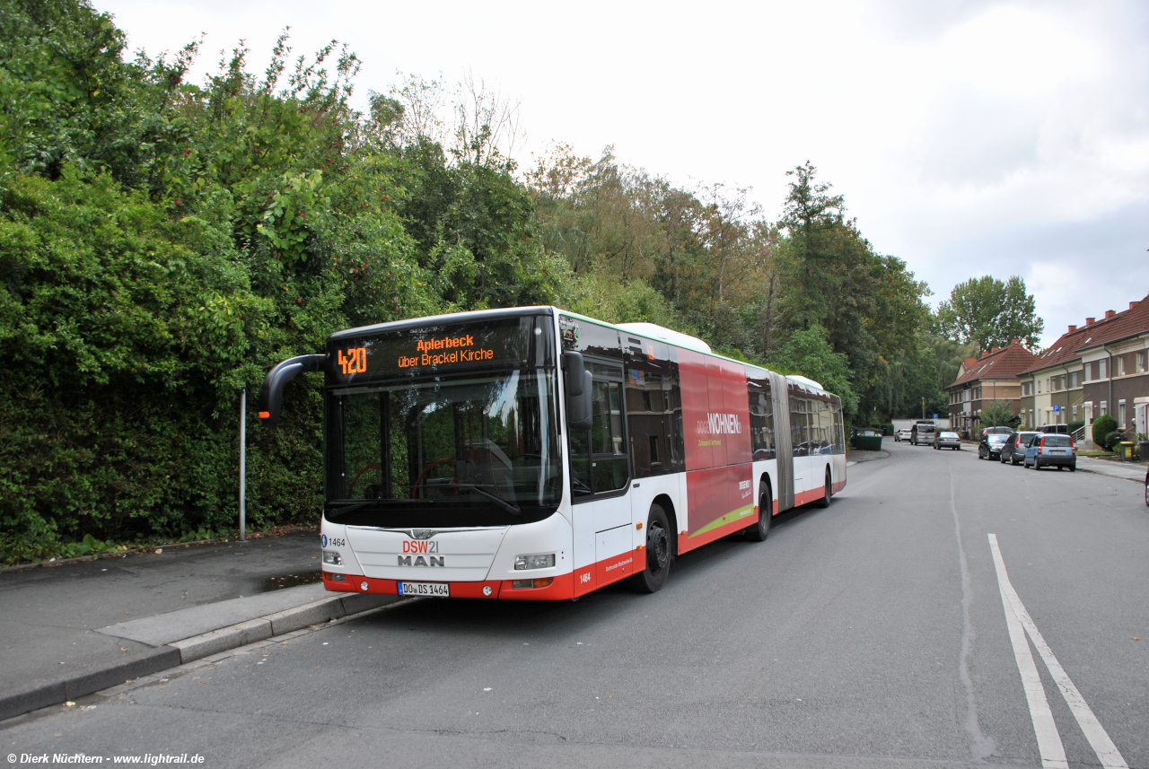 1464 (DO DS 1464) · Derne, Am Wittfeld