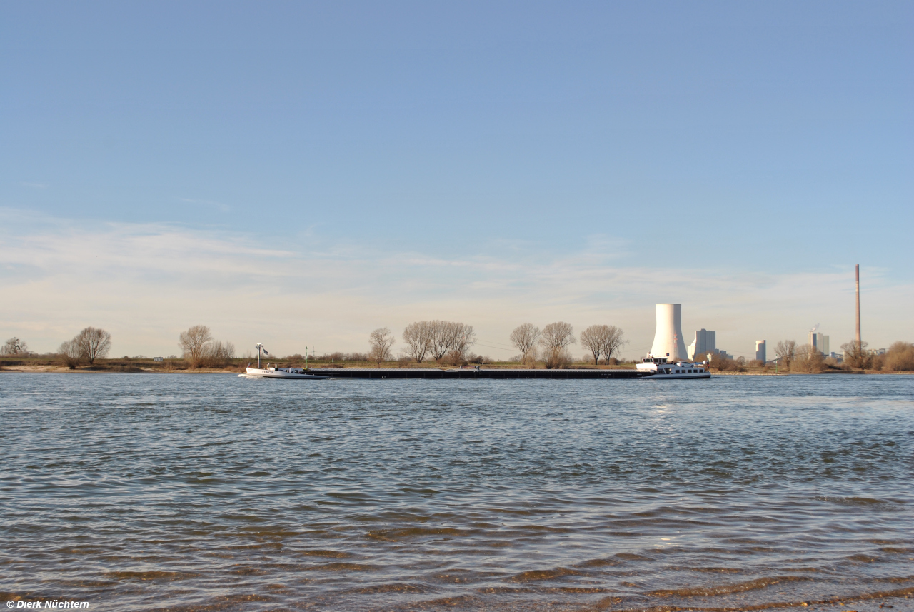 Ferox auf dem Rhein