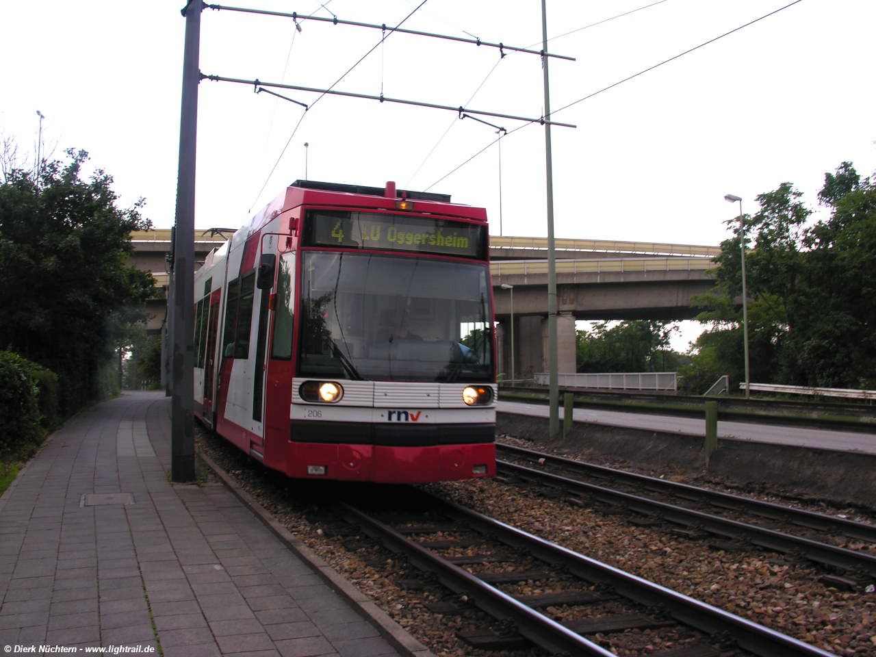 206 LU Hbf -> Rohrlachstraße