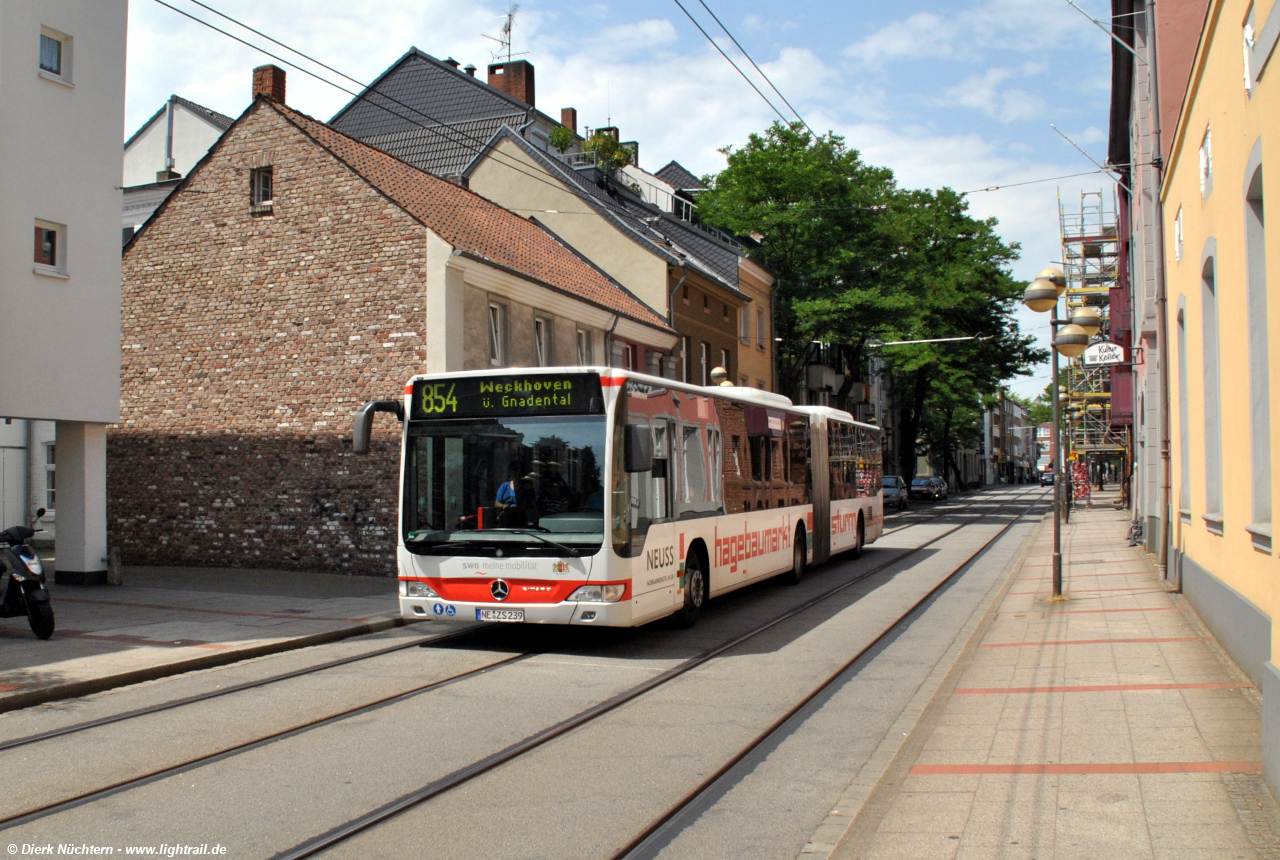 239 (NE ZS 239) · Landestheater -> Stadthalle