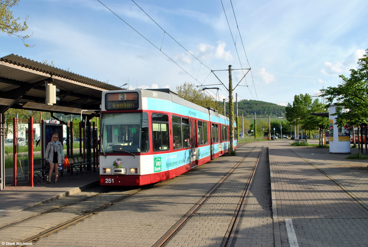 251 · Munzinger Straße