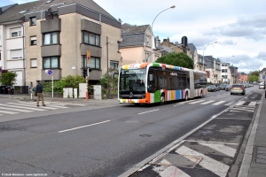 739 (AV 9022) · Orval