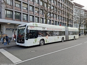 502 (AC L 202) · Elisenbrunnen