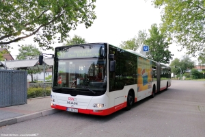 1161 (DO DS 1161) · Hacheney [U]