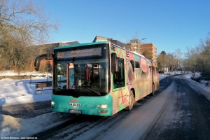1268 (DO DS 1268) · Zoo