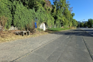 Remagen Fähre Nonnenwerth, 08.08.2026