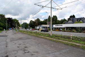 Hauptfriedhof -> Tilsiter Straße, 05.08.2023