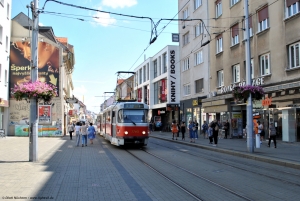 7703 · Postová