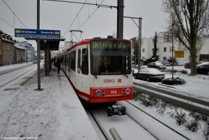 336 · Grävingholz