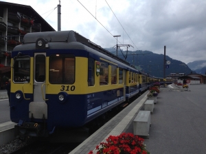 310 Grindelwald