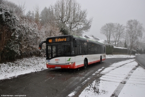 1282 (DO DS 1282) · Singschwanenweg