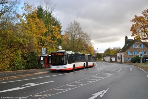 1441 (DO DS 1441) · Syburg